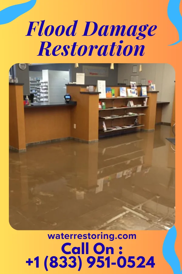 Flood Damage Restoration in Tolono, IL