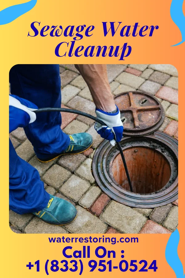 Sewage Water Cleanup in Tolono, IL