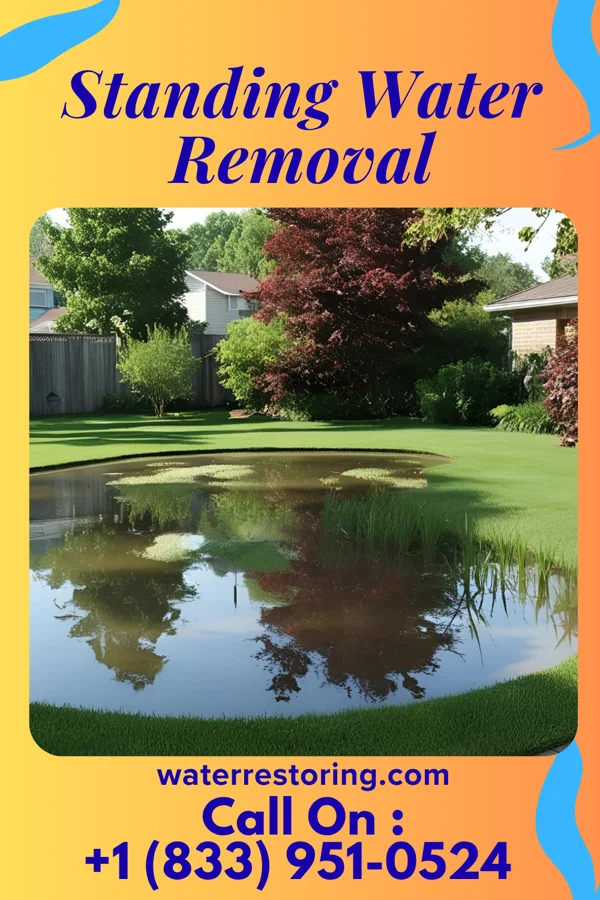 Standing Water Removal in Tolono, IL